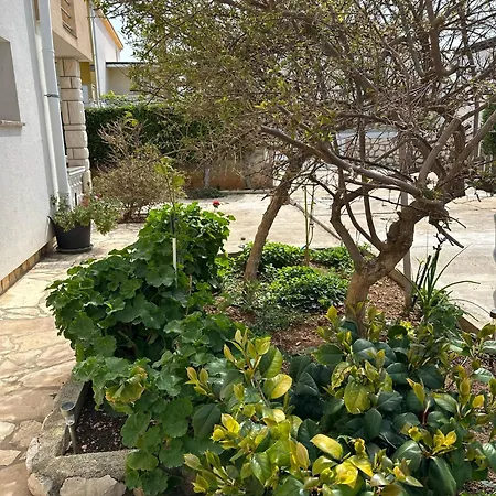Royal Diana Apartment Vir